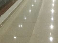 &#28216;&#33351;&#20250;&#40;&#20013;&#25991;&#41;&#23448;&#26041;&#32593;&#31449;