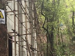 &#28216;&#33351;&#20250;&#40;&#20013;&#25991;&#41;&#23448;&#26041;&#32593;&#31449;